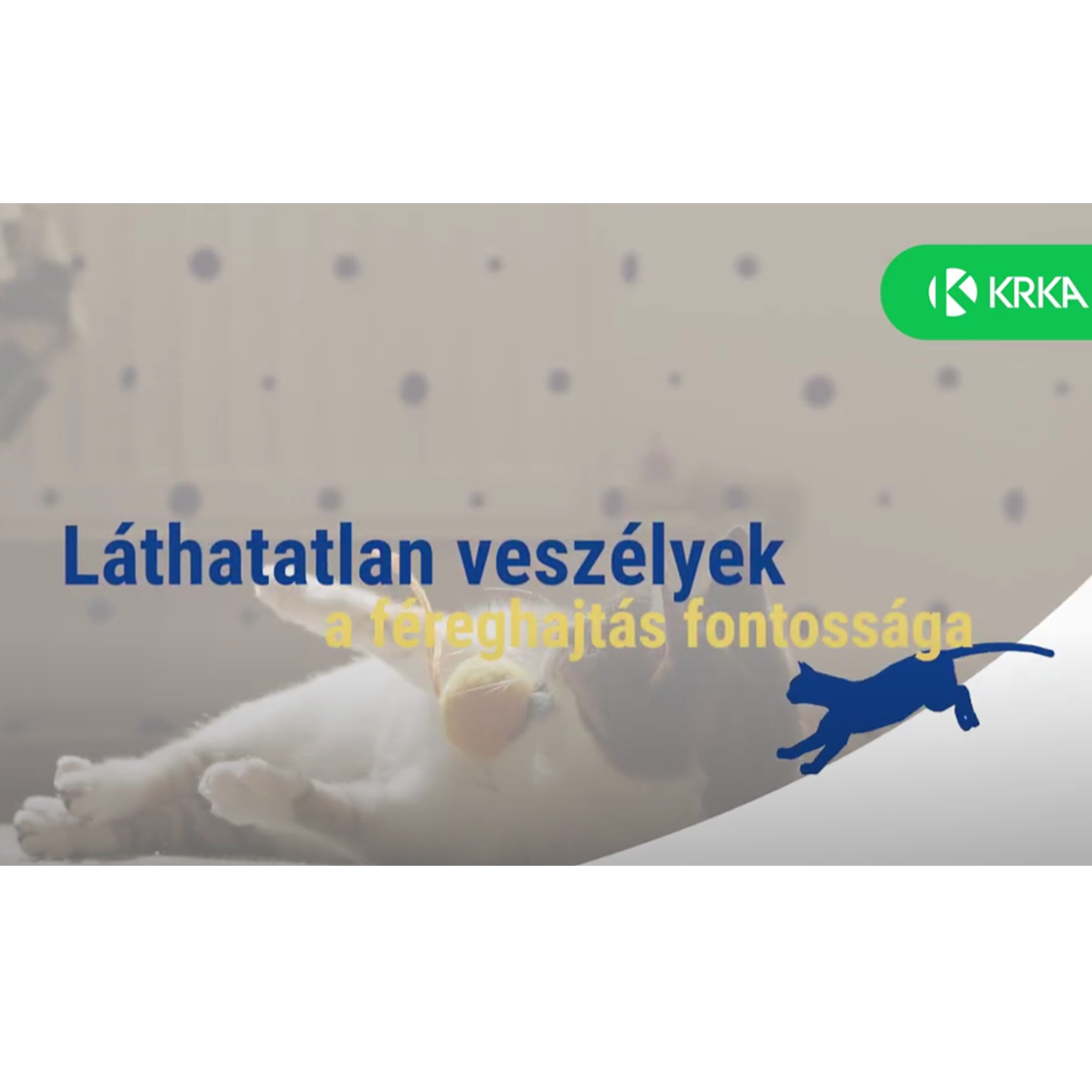 KRKA MAGYARORSZÁG MILPRAZON PLUSZ VIDEÓ