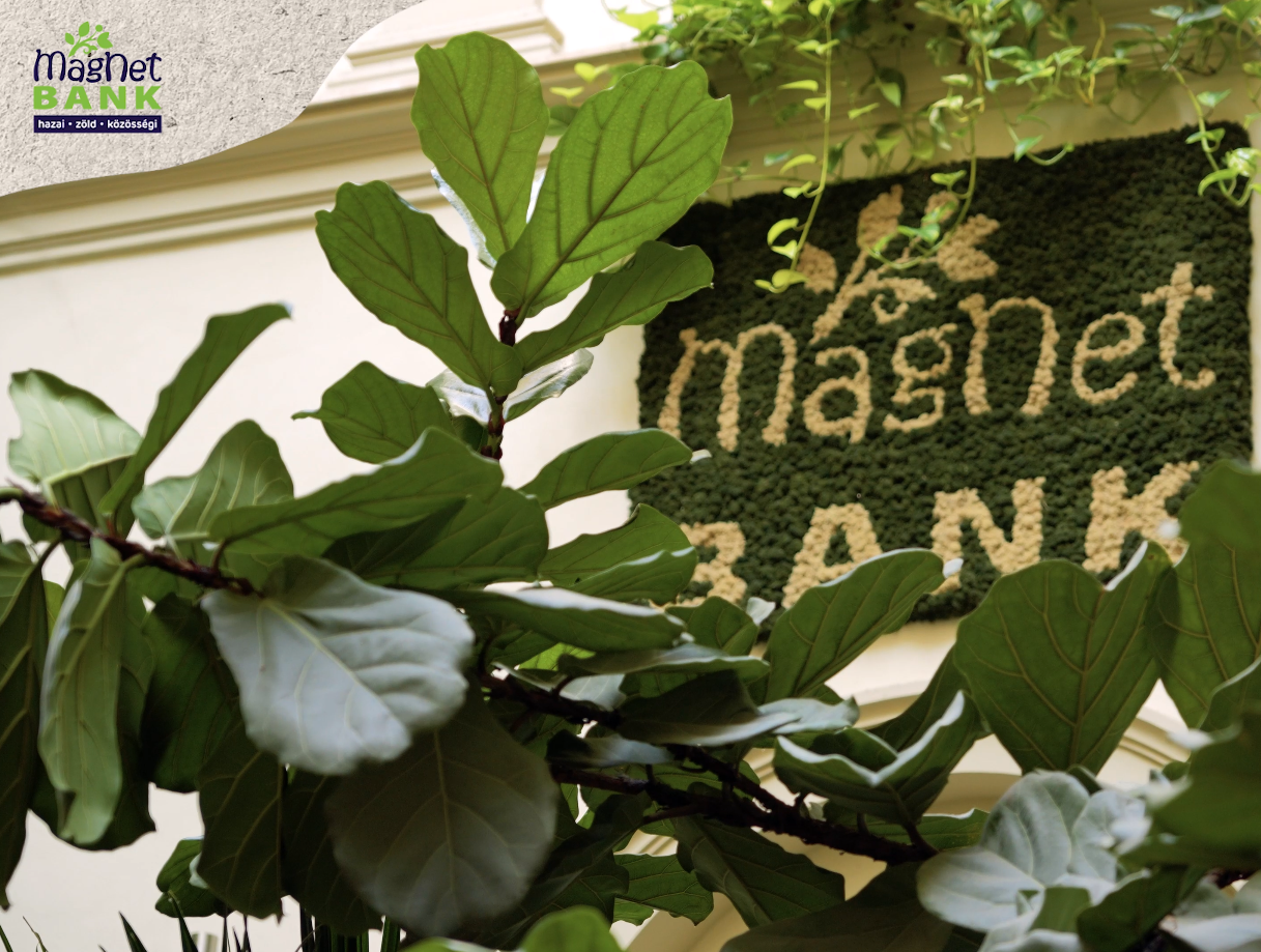 MAGNET BANK - KAP bemutató VIDEÓ